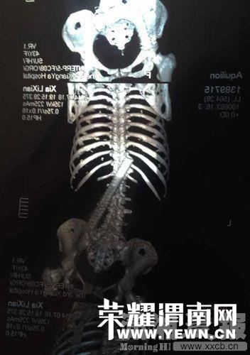1.jpg