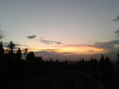 Ϧ�����޺�