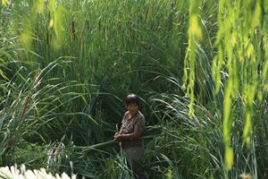 ���վ�ɫ 042_����8.jpg