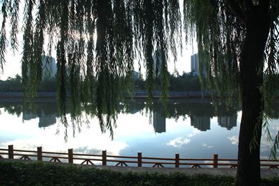 �Y������