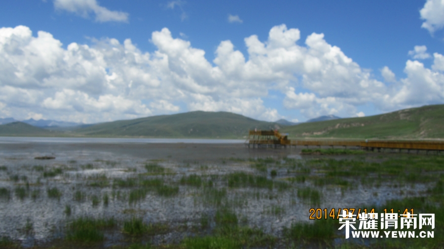 172831guojvdof4okn434s.jpg