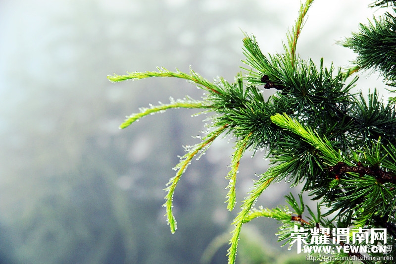 7�£����ŷ�ѿû���