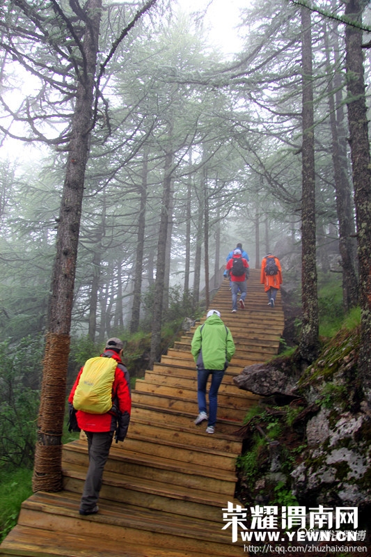 ������·