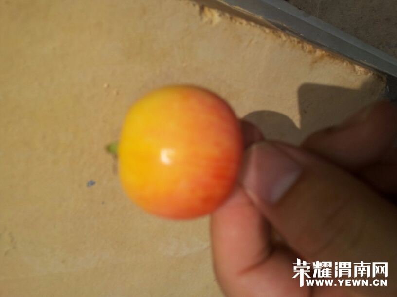225124lzj5g3qg22cbrj10.jpg