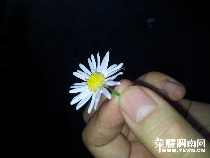 225126qg9gyddg3wgg5adg.jpg
