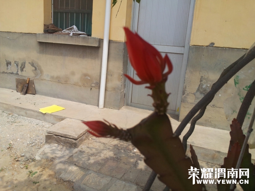 141414slbuhqbxpoibd09u.jpg