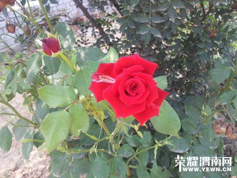 141422hqttpq5q55ht8tst.jpg