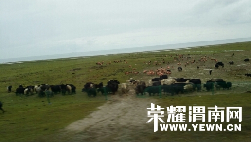 122456bu4hu4ogw4w3w33w.jpg