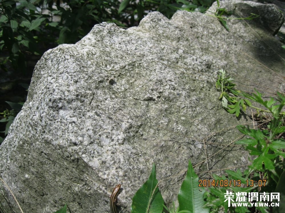 155741yqx9935391q3bd9m.jpg