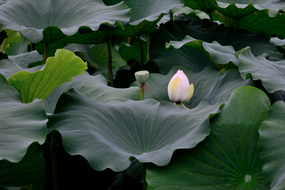 μ��̲���� (1).JPG