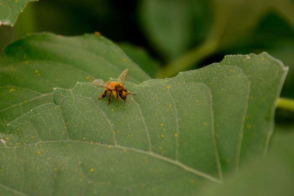 μ��̲���� (6).JPG