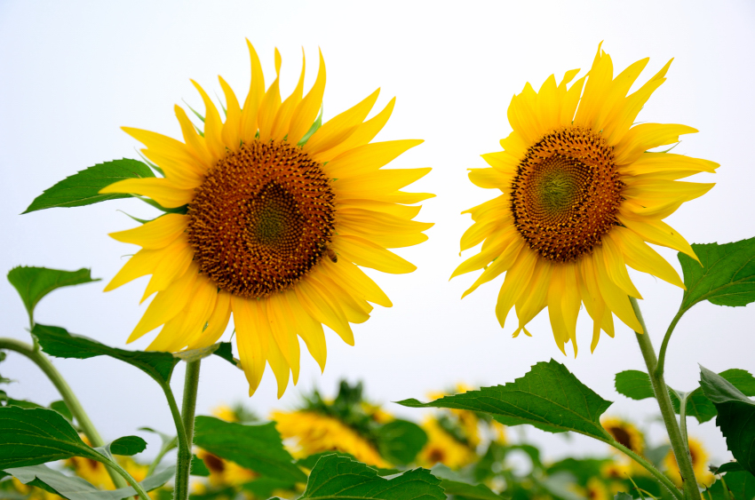 μ��̲���� (9).JPG