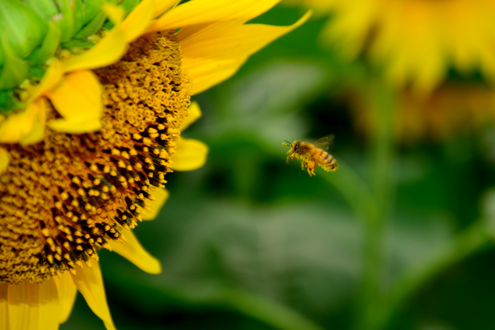 μ��̲���� (7).JPG