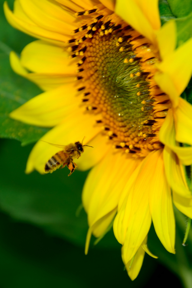 μ��̲���� (8).JPG