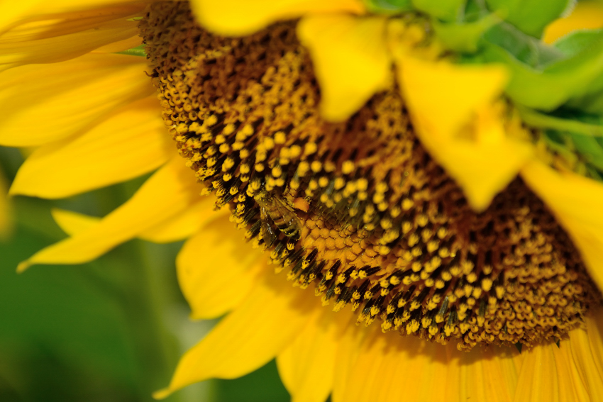 μ��̲���� (10).JPG