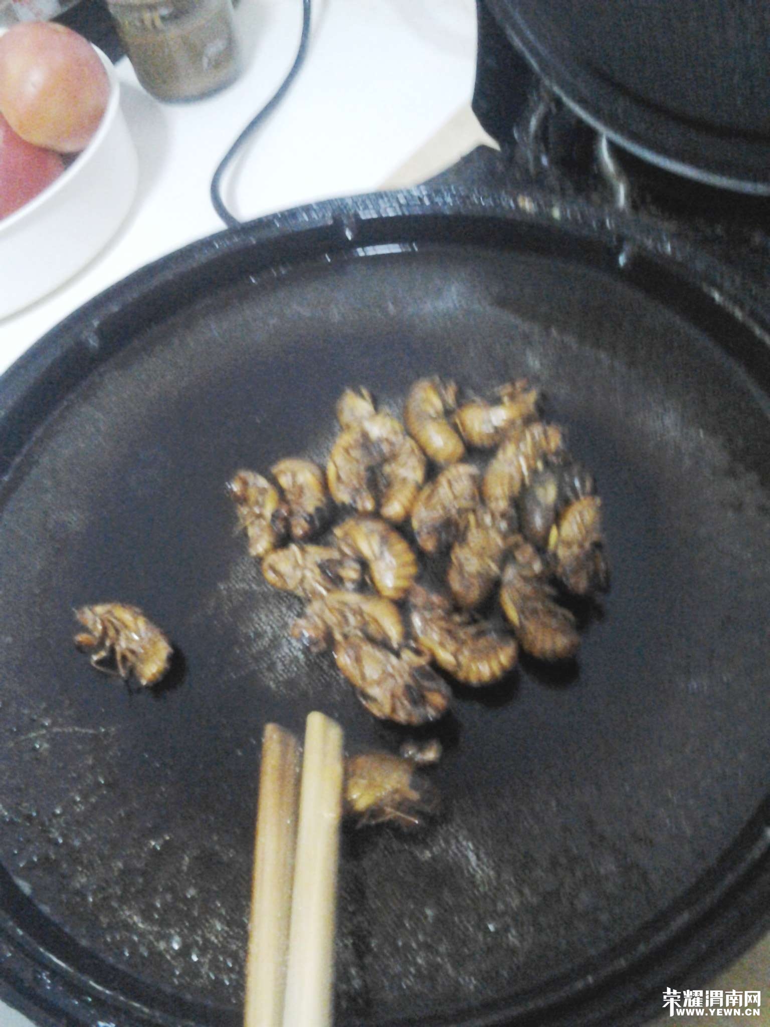 ��Թ�ô����