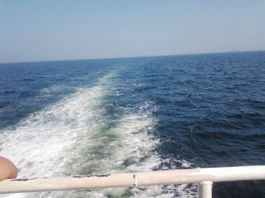 �˻��ڳ��裬��������ô