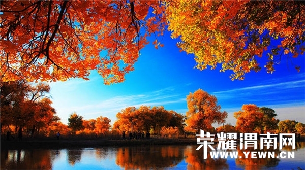 100621sj64z00te1w6qcwj.jpg