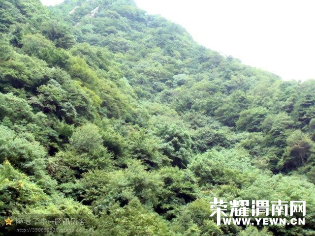 009.jpg