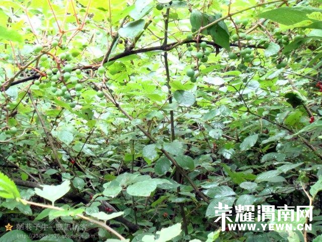 010.jpg