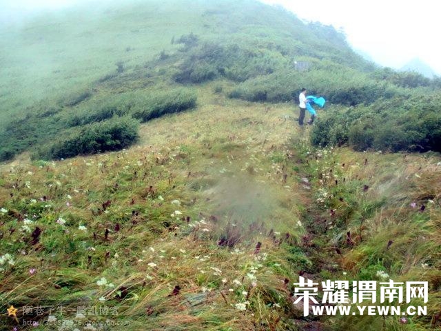 014.jpg