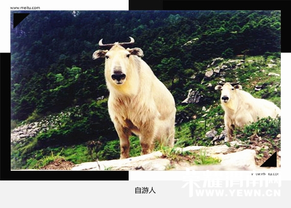 ţ7_.jpg