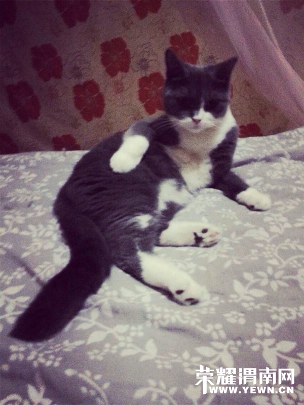 120216dd2dqyvlqdrfzrkj.jpg