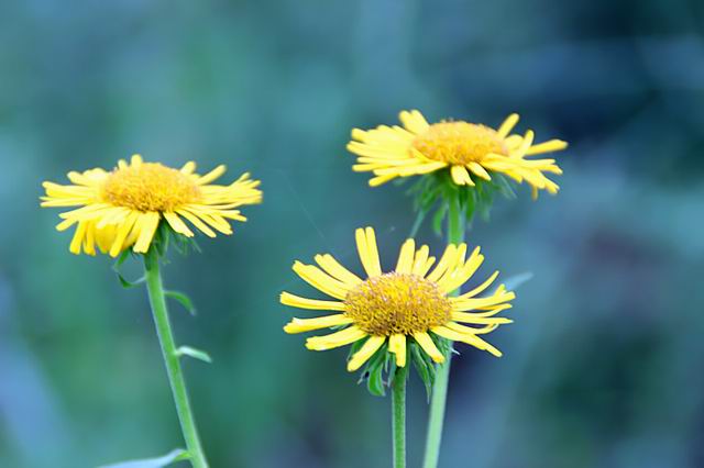 ������С IMG_8411_����.jpg