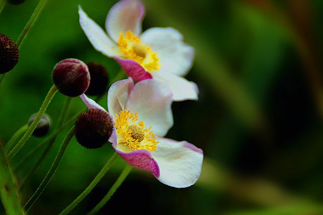 ������С IMG_8304_����.jpg