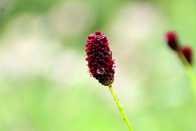 ������С IMG_8316_����.jpg