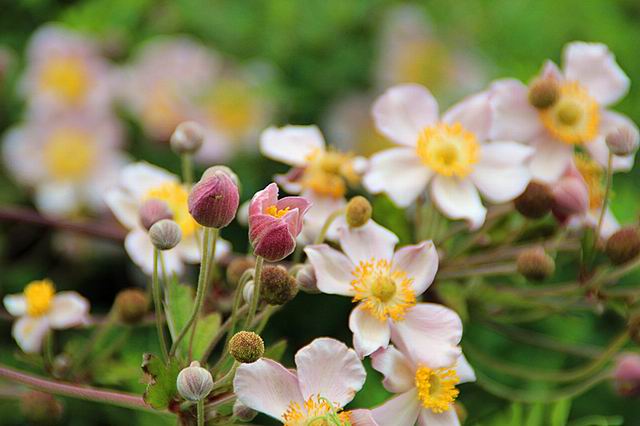 ������С IMG_8313_����.jpg