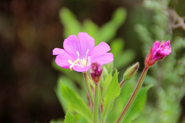 ������С IMG_8349_����.jpg