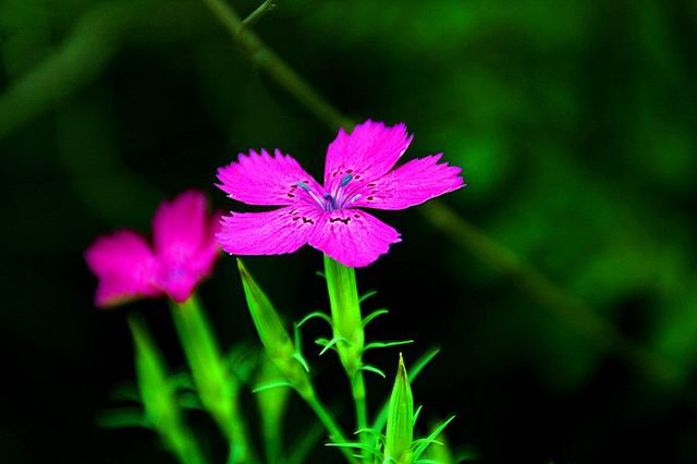 ������С IMG_8346_����.jpg