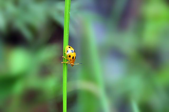 ������С IMG_8407_����.jpg