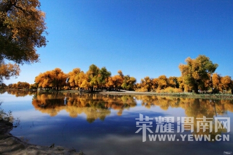 085650b7w11kw8tkp84q2w.jpg