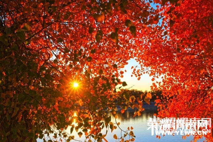 182051rh0whskz0aiw8a0b.jpg