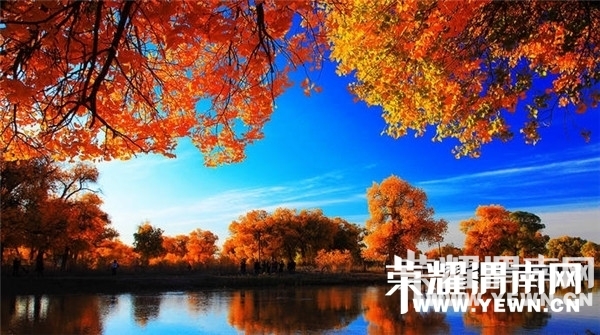 182050ra1a12az2g1vvkhh.jpg