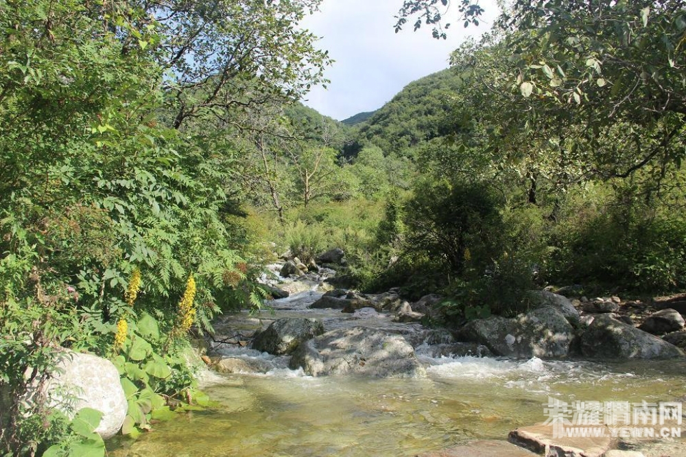 102815echucoh64159934g.jpg