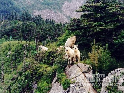 20120705091923_6695.jpg