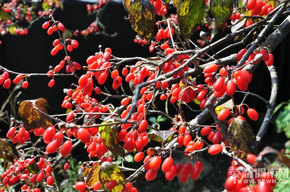 QQͼƬ20140911170957.jpg