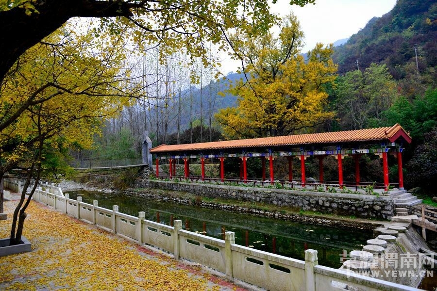 QQͼƬ20140911171014.jpg