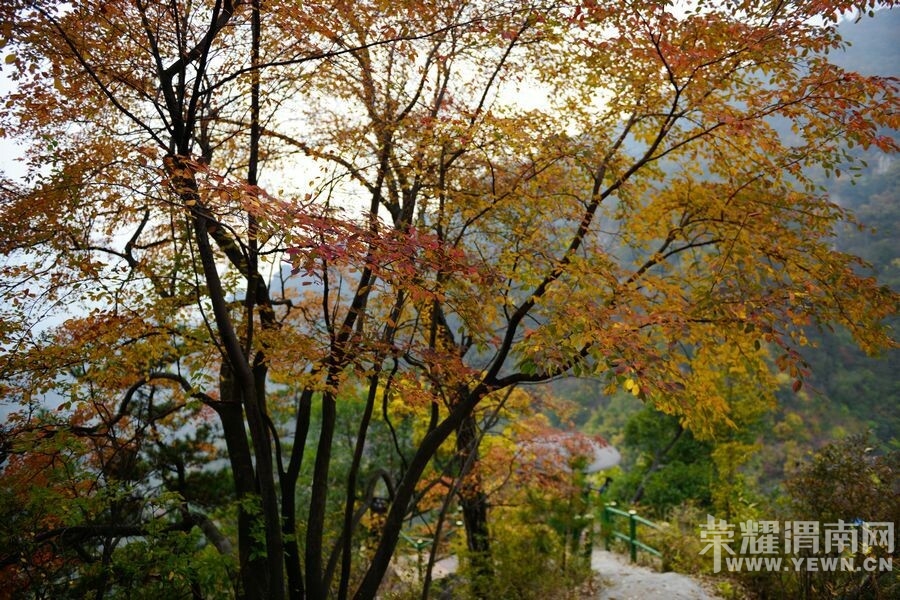 QQͼƬ20140911171007.jpg
