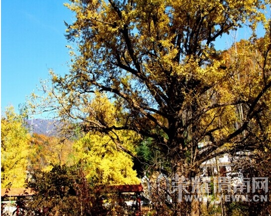 QQͼƬ20140911171300.jpg