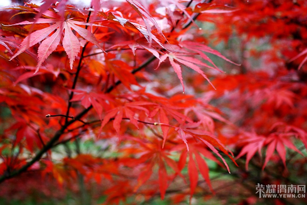 2011101611233254530.jpg