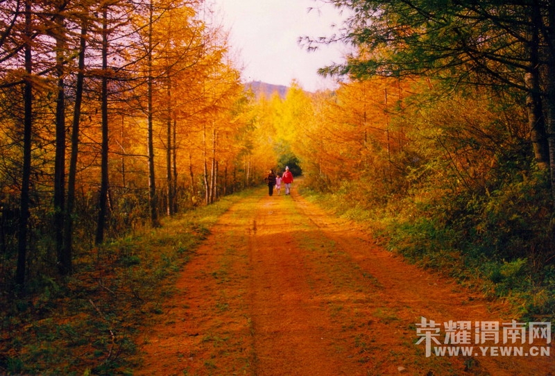 20081005_0d0c28d31190c377ab5aWUpSQL6eaZUp.jpg