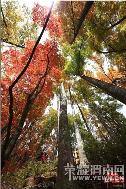 QQͼƬ20141009080247.jpg