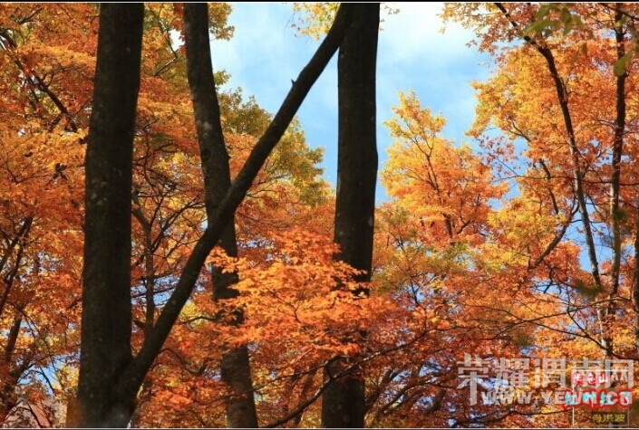 QQͼƬ20141009080040.jpg