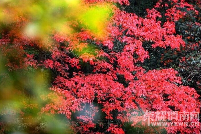 QQͼƬ20141009080105.jpg