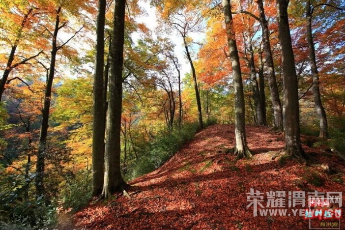 QQͼƬ20141009080052.jpg