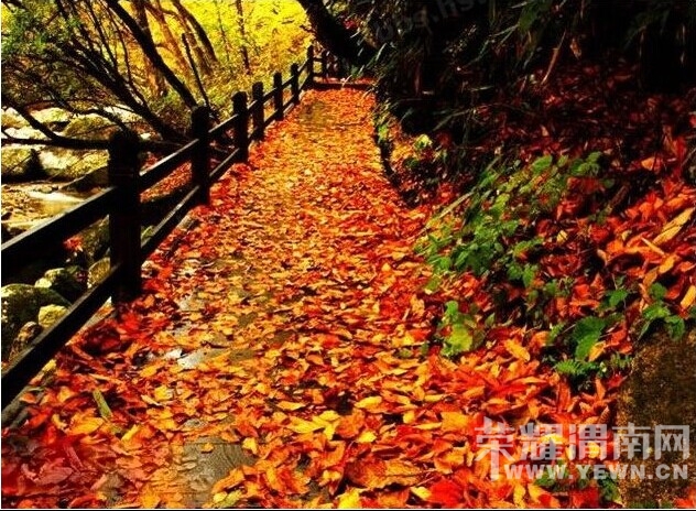 QQͼƬ20141009080116.jpg